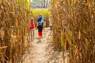 South florida corn maze